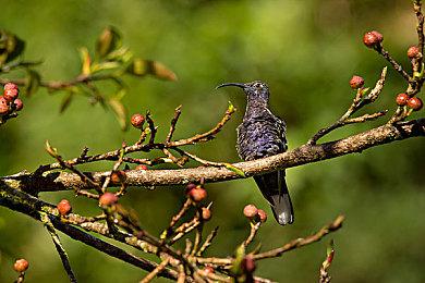 贞子爬出来了！《黎明杀机》确定联动《午夜凶铃》